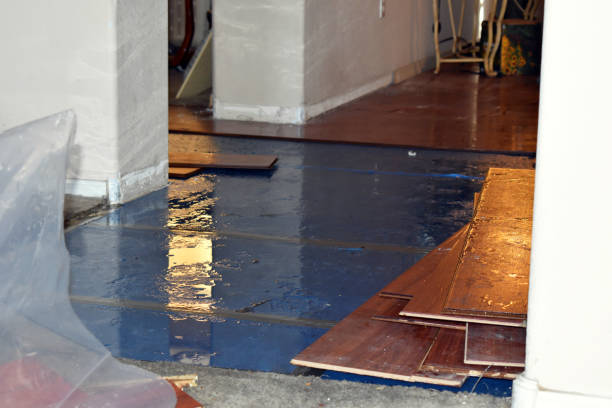Professional Water Damage technician working in Mountain, WI