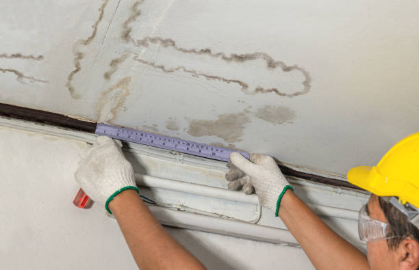 Reliable Water Damage contractor in Mountain, WI by Water Damage Irwin